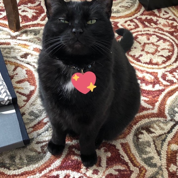 Meet your Posher, Anne - Picture 3 of 3